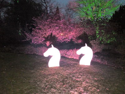 Pferde aus Licht projeziert im Palmengarten in Frankfurt.