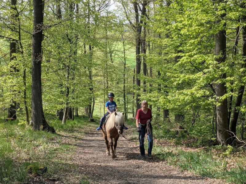 Trauerbegleitung